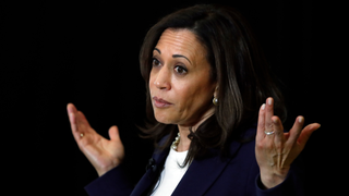 Kamala Harris Says 'We Have to Seriously Take a Look At' Breaking Up Facebook